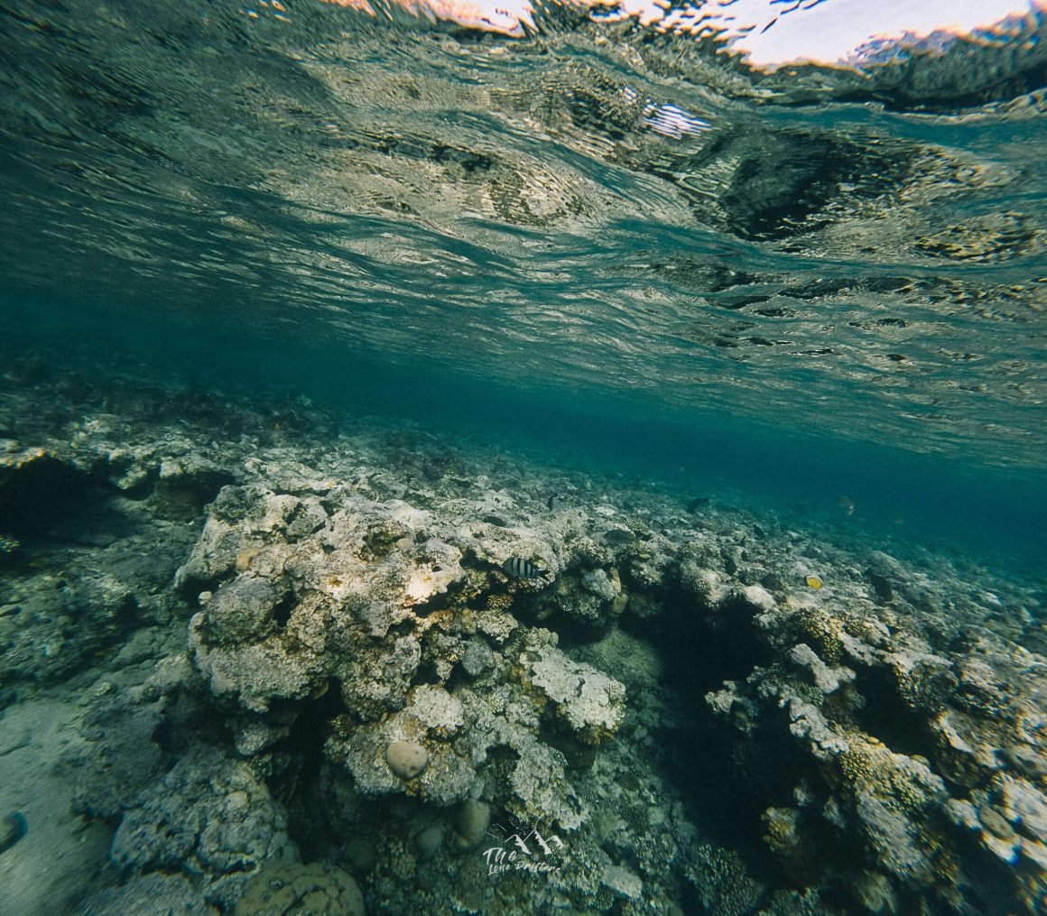 Snorkelbeelden onder water