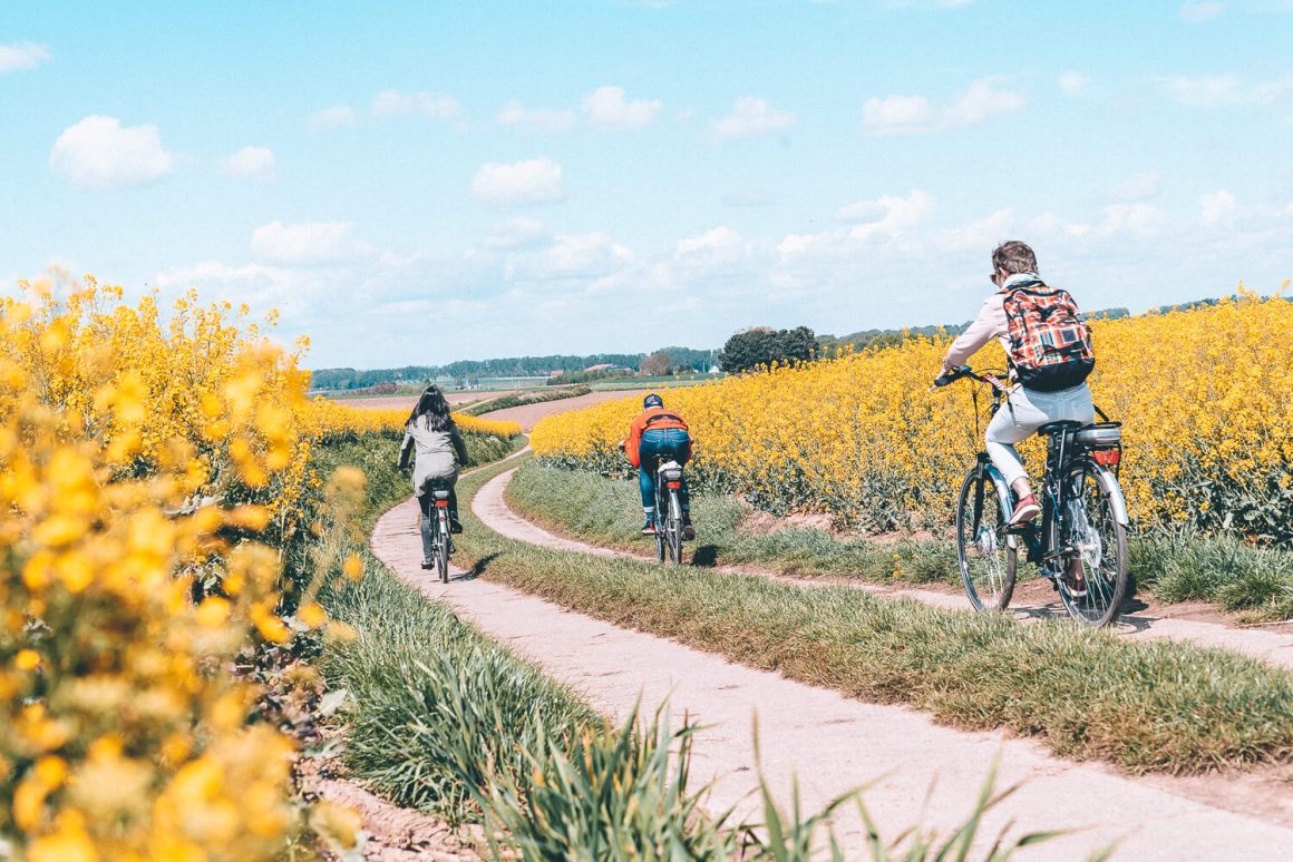 fietsen door bloemenvelden wallonie