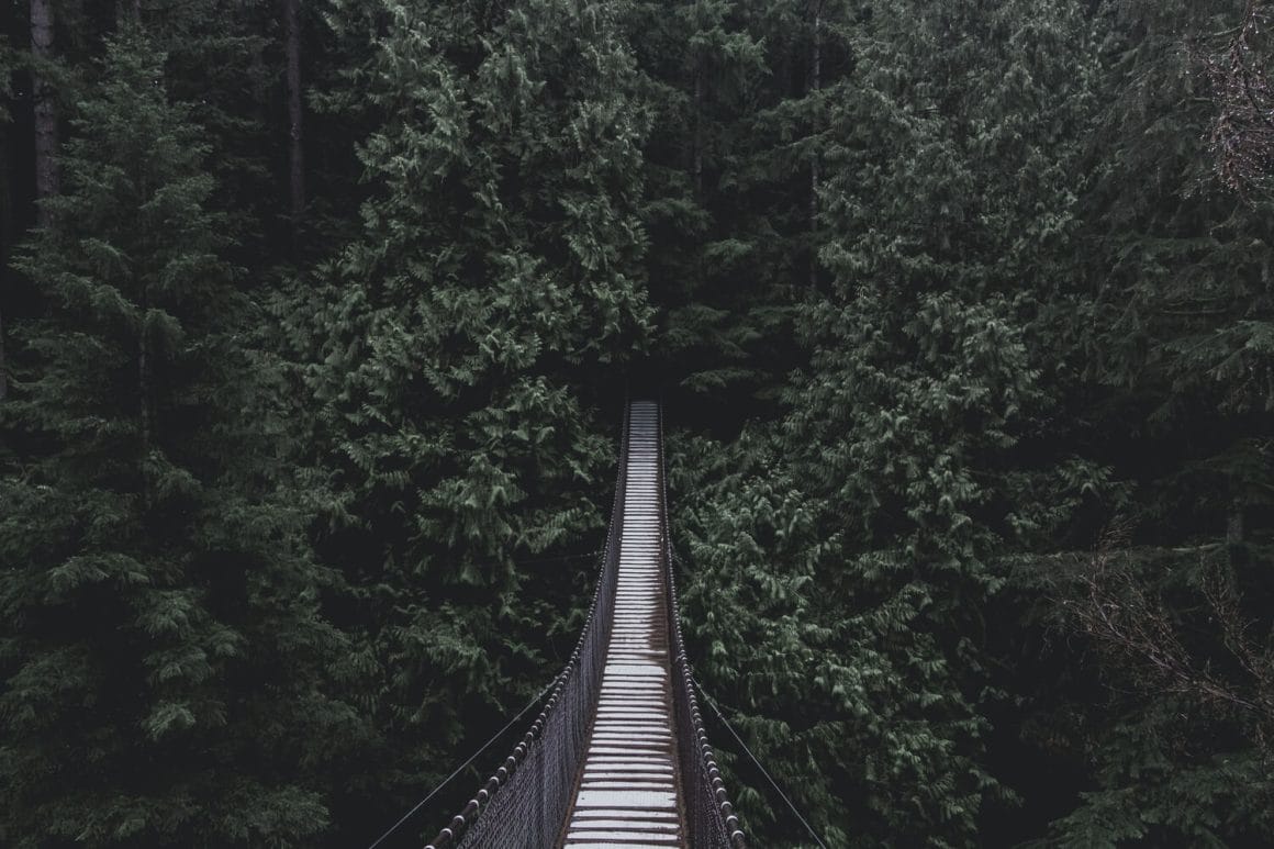 Lynn Canyon brug