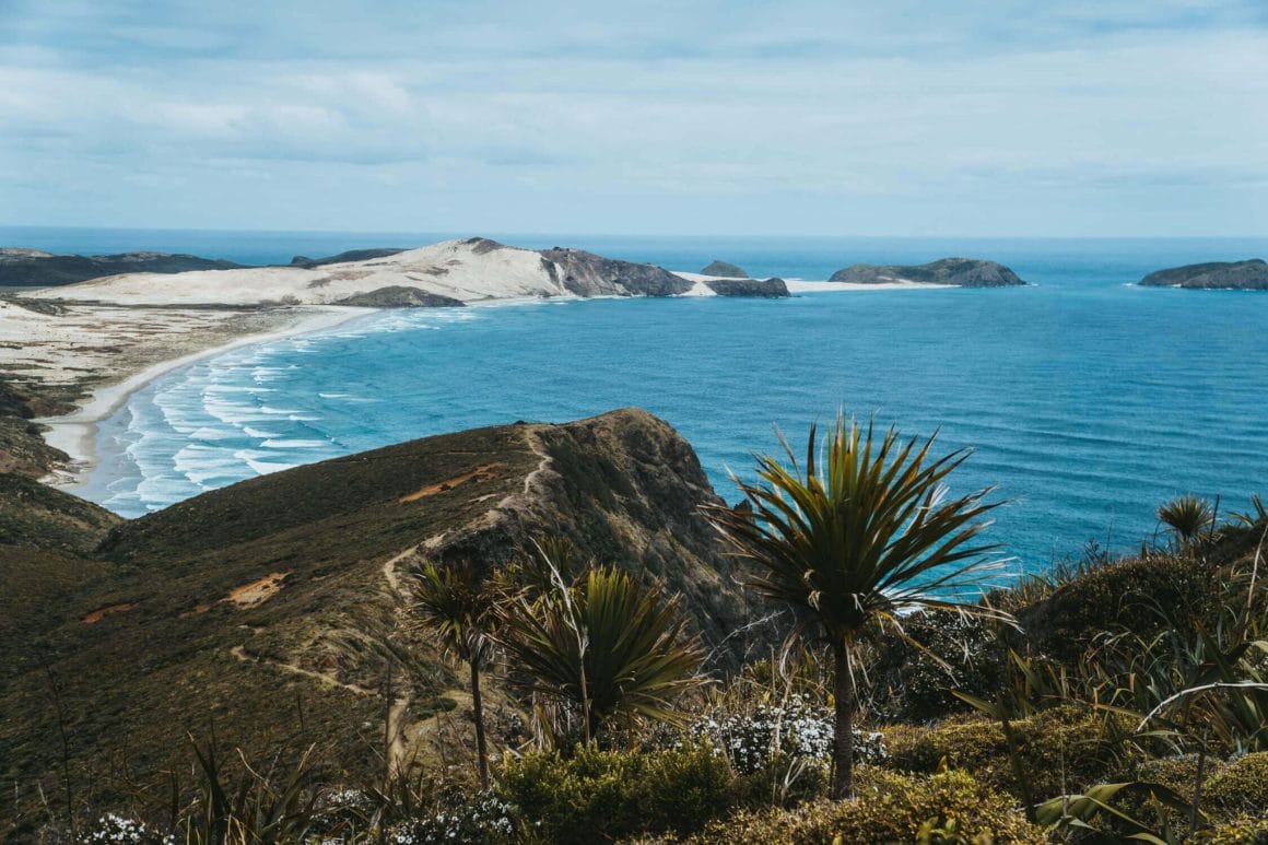 Strand van Northland