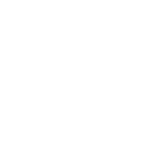 The Lone Drifters