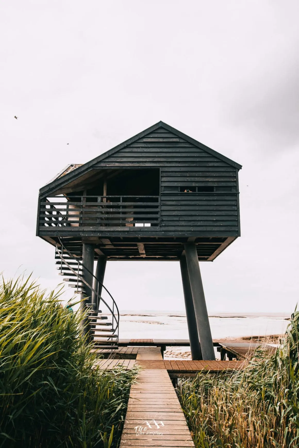 Vogelkijkhut