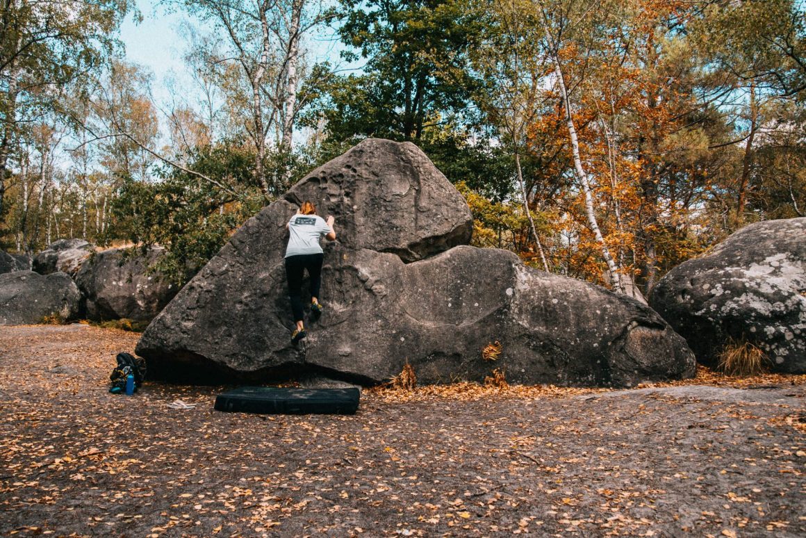 Klimmer in Fontainebleau
