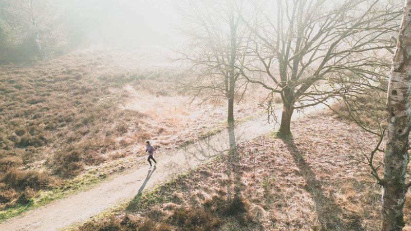 Backyard Ultra Luciano Pappalettera