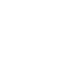 The Lone Drifters