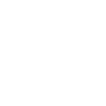 logo van Lone Drifters